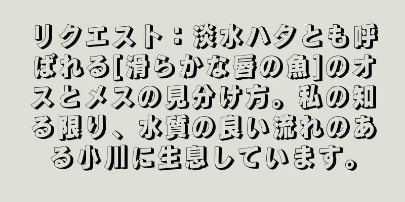 リクエスト：淡水ハタとも呼ばれる[滑らかな唇の魚]のオスとメスの見分け方。私の知る限り、水質の良い流れのある小川に生息しています。
