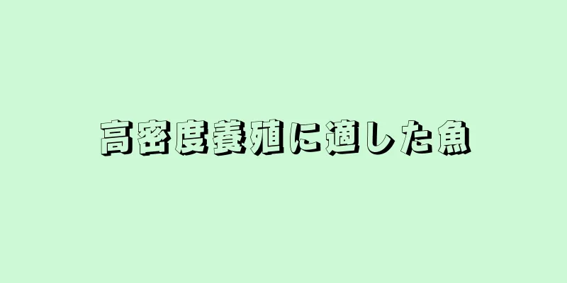 高密度養殖に適した魚