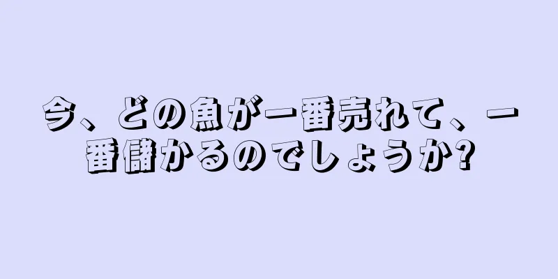 今、どの魚が一番売れて、一番儲かるのでしょうか?
