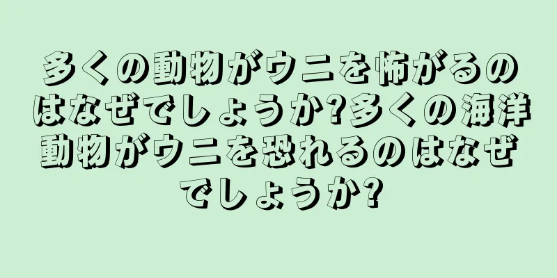 多くの動物がウニを怖がるのはなぜでしょうか?多くの海洋動物がウニを恐れるのはなぜでしょうか?