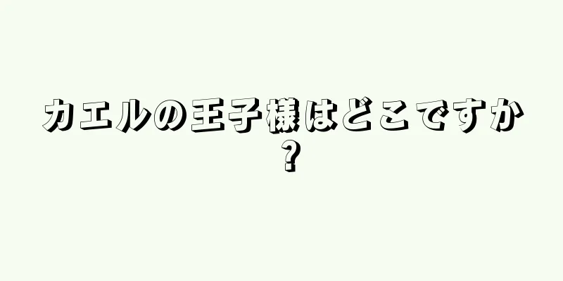 カエルの王子様はどこですか？