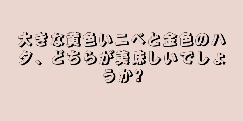大きな黄色いニベと金色のハタ、どちらが美味しいでしょうか?