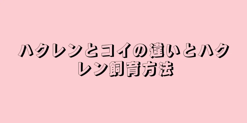 ハクレンとコイの違いとハクレン飼育方法