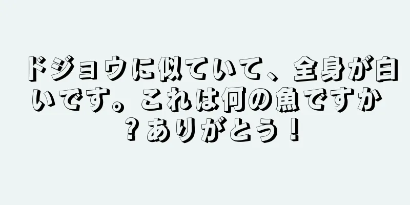 ドジョウに似ていて、全身が白いです。これは何の魚ですか？ありがとう！