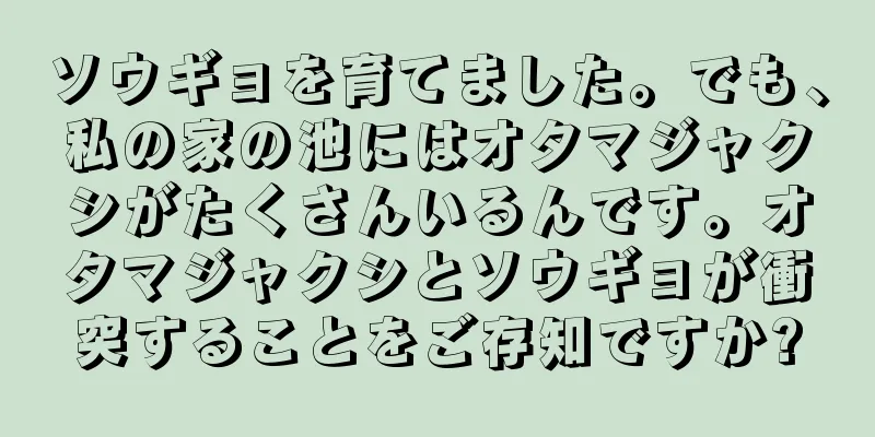 ソウギョを育てました。でも、私の家の池にはオタマジャクシがたくさんいるんです。オタマジャクシとソウギョが衝突することをご存知ですか?