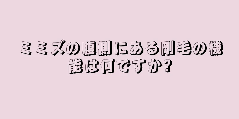 ミミズの腹側にある剛毛の機能は何ですか?