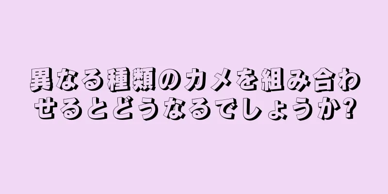 異なる種類のカメを組み合わせるとどうなるでしょうか?