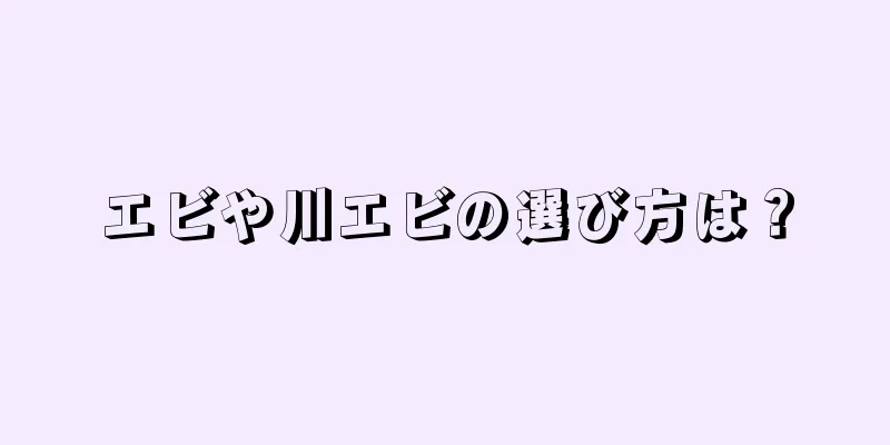 エビや川エビの選び方は？