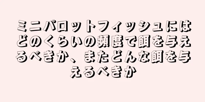 ミニパロットフィッシュにはどのくらいの頻度で餌を与えるべきか、またどんな餌を与えるべきか