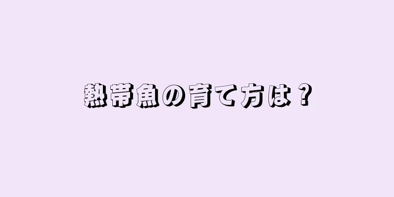 熱帯魚の育て方は？