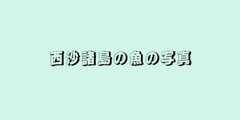 西沙諸島の魚の写真