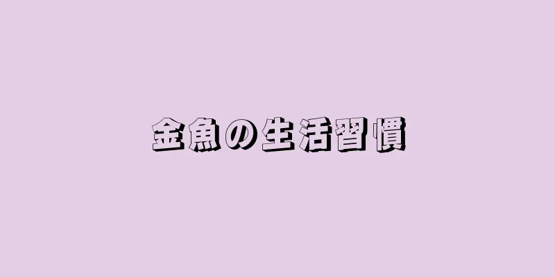 金魚の生活習慣