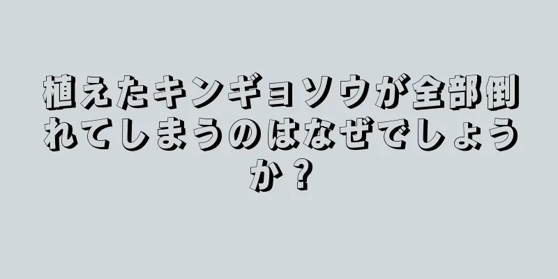 植えたキンギョソウが全部倒れてしまうのはなぜでしょうか？