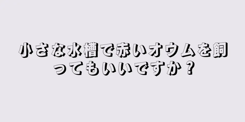 小さな水槽で赤いオウムを飼ってもいいですか？