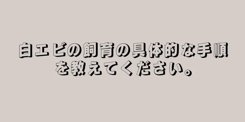 白エビの飼育の具体的な手順を教えてください。