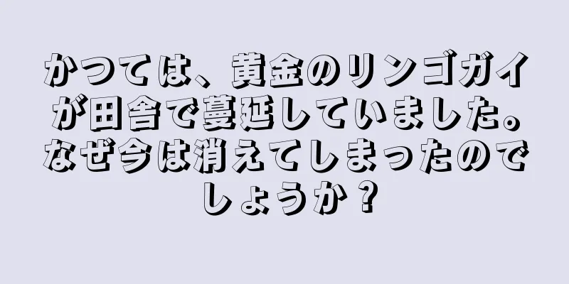 かつては、黄金のリンゴガイが田舎で蔓延していました。なぜ今は消えてしまったのでしょうか？