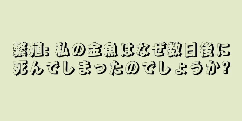 繁殖: 私の金魚はなぜ数日後に死んでしまったのでしょうか?
