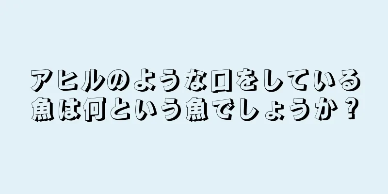 アヒルのような口をしている魚は何という魚でしょうか？