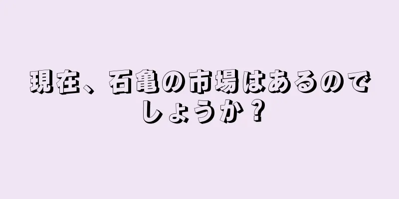 現在、石亀の市場はあるのでしょうか？