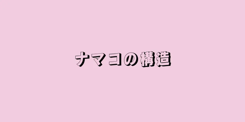 ナマコの構造