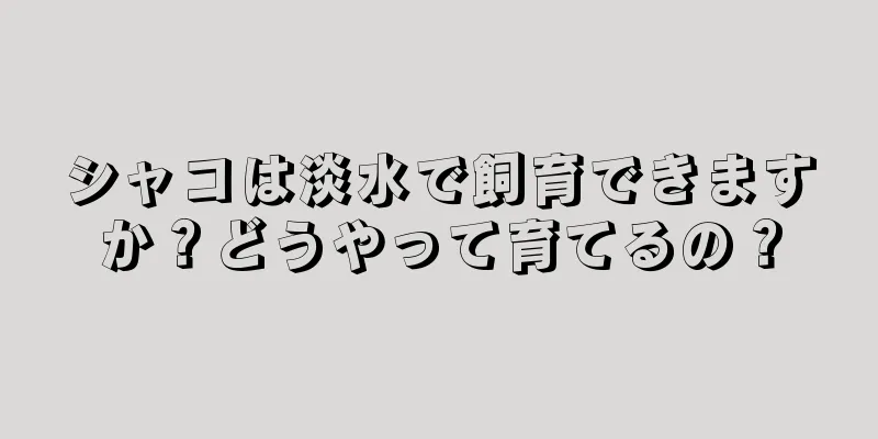 シャコは淡水で飼育できますか？どうやって育てるの？