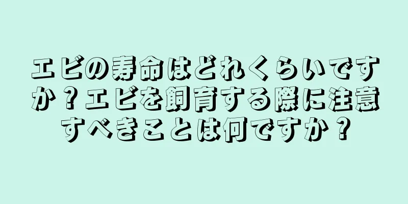 エビの寿命はどれくらいですか？エビを飼育する際に注意すべきことは何ですか？