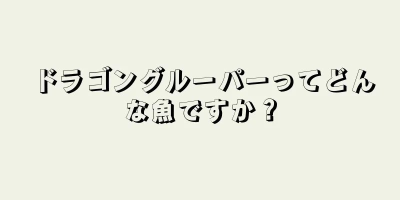 ドラゴングルーパーってどんな魚ですか？