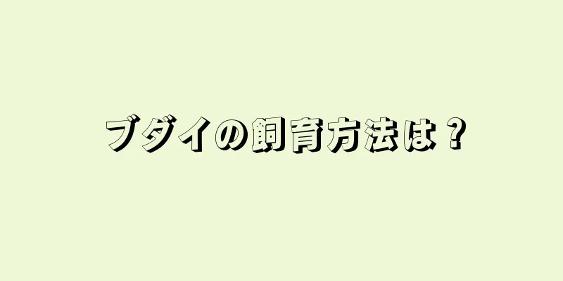 ブダイの飼育方法は？