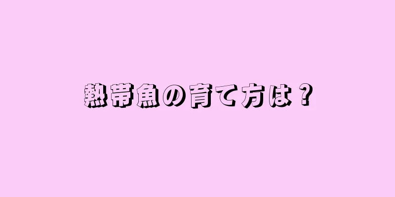 熱帯魚の育て方は？
