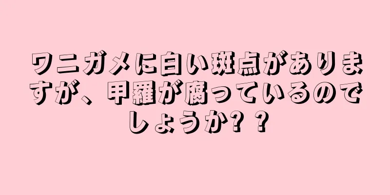 ワニガメに白い斑点がありますが、甲羅が腐っているのでしょうか? ?