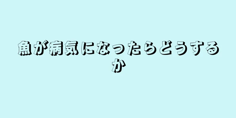 魚が病気になったらどうするか