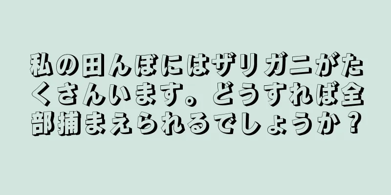私の田んぼにはザリガニがたくさんいます。どうすれば全部捕まえられるでしょうか？
