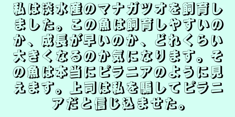 私は淡水産のマナガツオを飼育しました。この魚は飼育しやすいのか、成長が早いのか、どれくらい大きくなるのか気になります。その魚は本当にピラニアのように見えます。上司は私を騙してピラニアだと信じ込ませた。