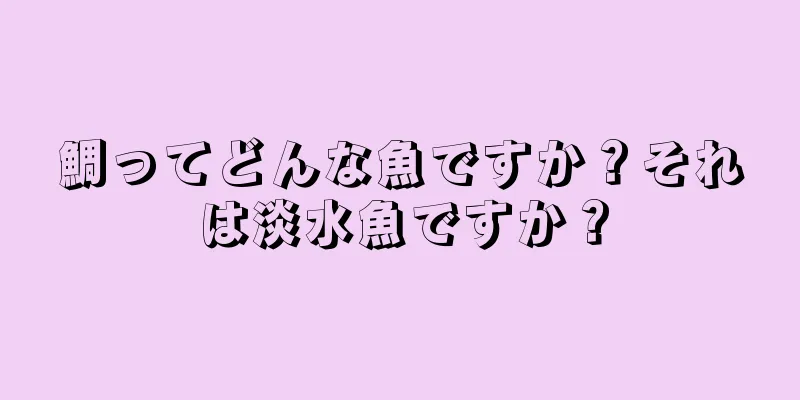 鯛ってどんな魚ですか？それは淡水魚ですか？