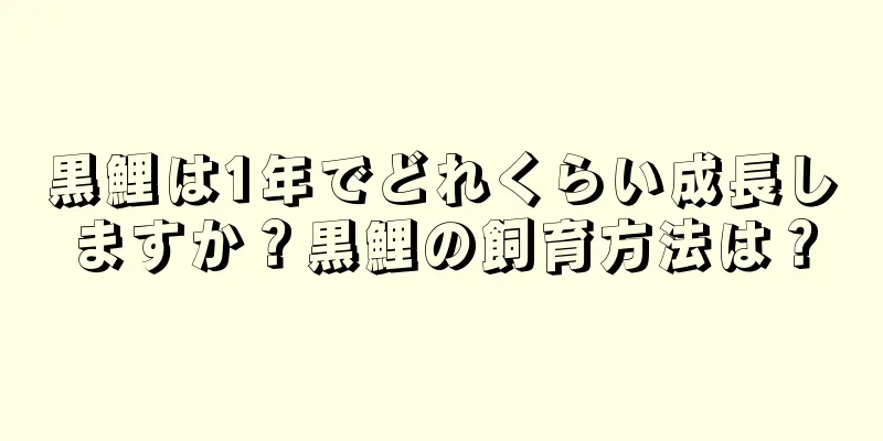 黒鯉は1年でどれくらい成長しますか？黒鯉の飼育方法は？