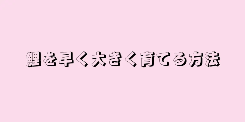 鯉を早く大きく育てる方法