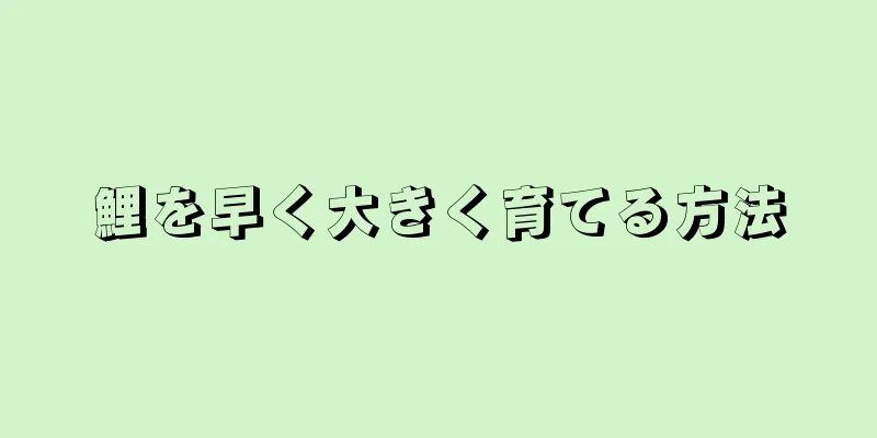 鯉を早く大きく育てる方法