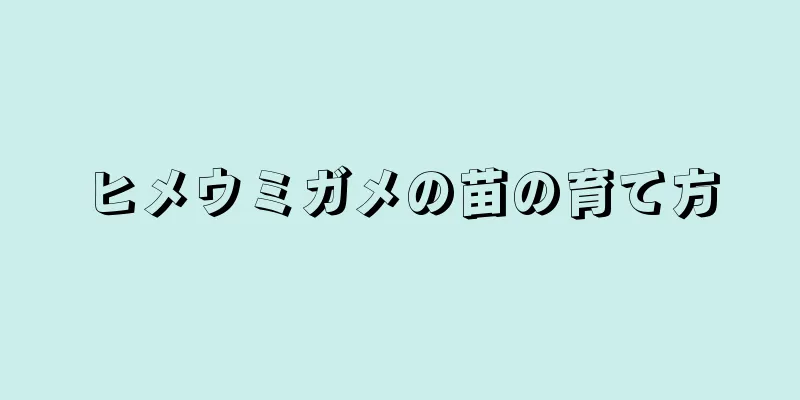 ヒメウミガメの苗の育て方