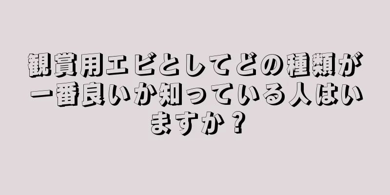 観賞用エビとしてどの種類が一番良いか知っている人はいますか？