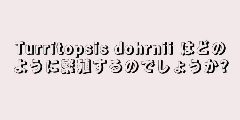 Turritopsis dohrnii はどのように繁殖するのでしょうか?