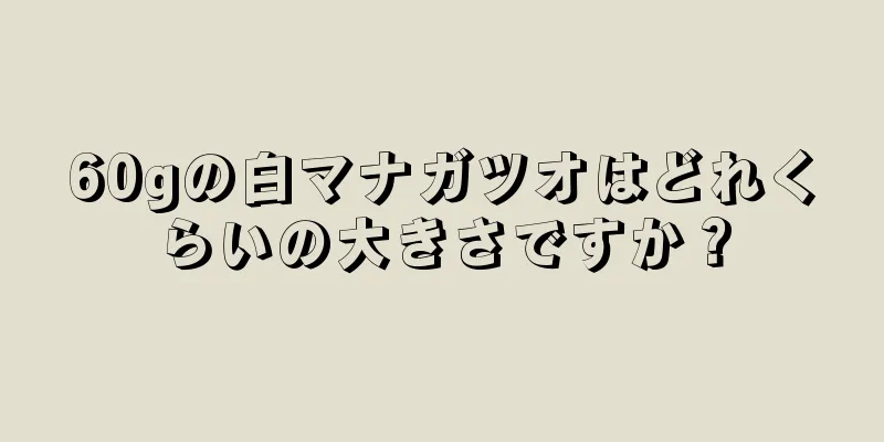 60gの白マナガツオはどれくらいの大きさですか？