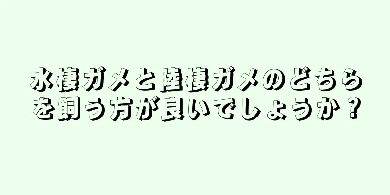 水棲ガメと陸棲ガメのどちらを飼う方が良いでしょうか？