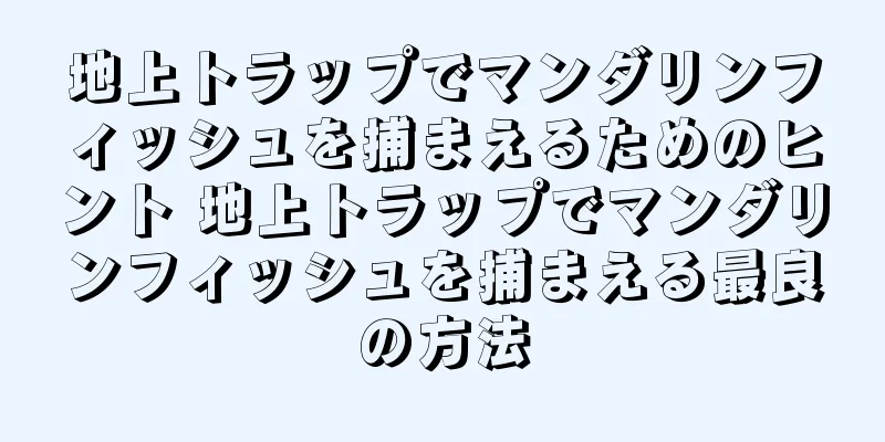 地上トラップでマンダリンフィッシュを捕まえるためのヒント 地上トラップでマンダリンフィッシュを捕まえる最良の方法