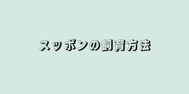 スッポンの飼育方法