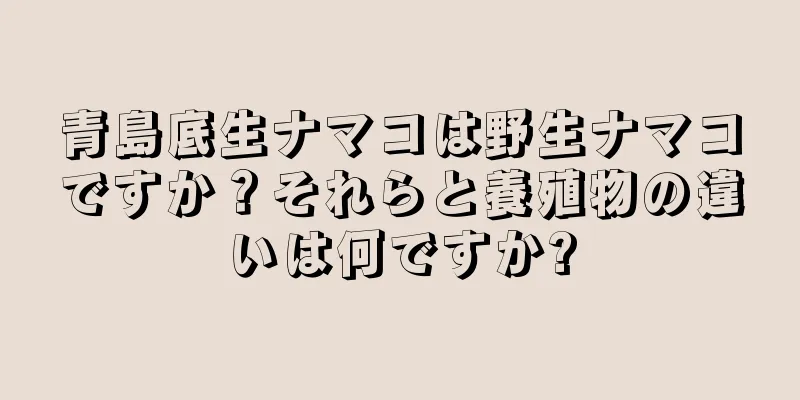 青島底生ナマコは野生ナマコですか？それらと養殖物の違いは何ですか?