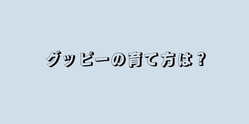 グッピーの育て方は？