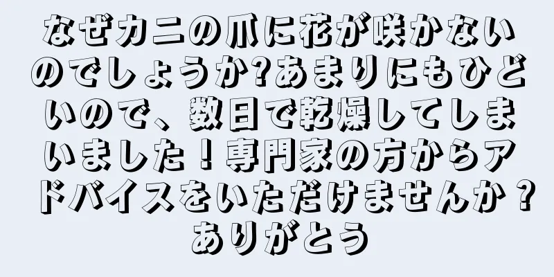 なぜカニの爪に花が咲かないのでしょうか?あまりにもひどいので、数日で乾燥してしまいました！専門家の方からアドバイスをいただけませんか？ありがとう