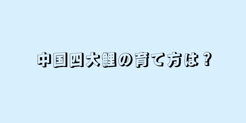 中国四大鯉の育て方は？
