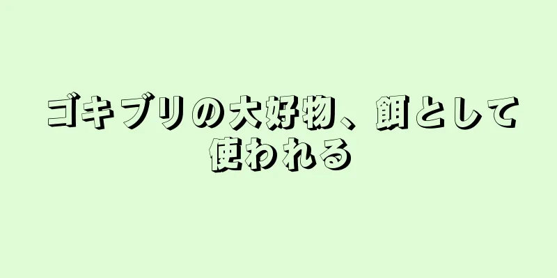 ゴキブリの大好物、餌として使われる