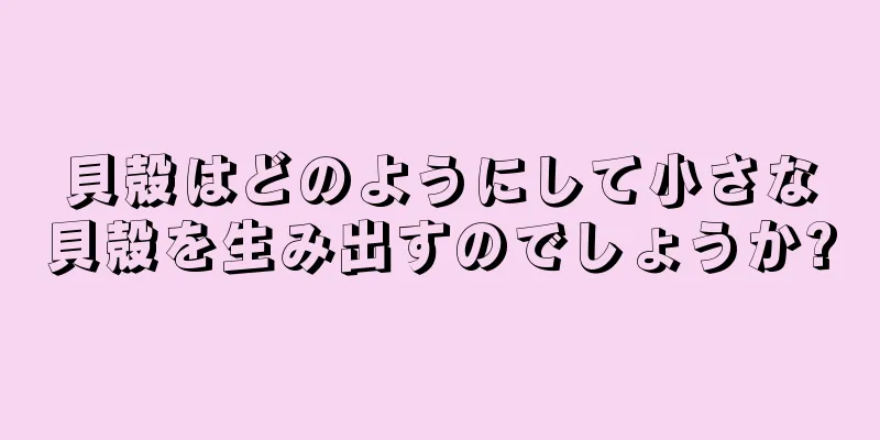 貝殻はどのようにして小さな貝殻を生み出すのでしょうか?